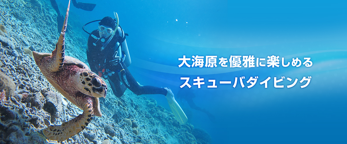 大海原を優雅に楽しめるスキューバーダイビング